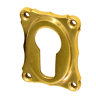 Schlüssellochrosette poliert elegantes Design gold